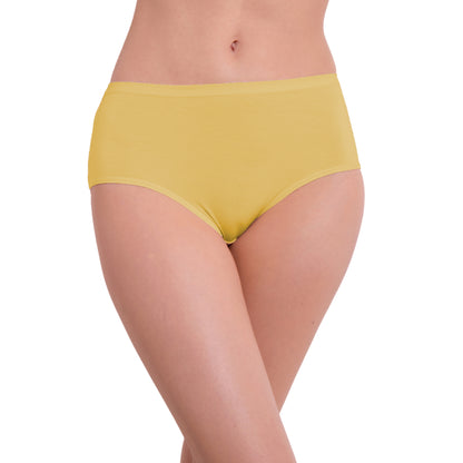 Pavvoin brief panty for women