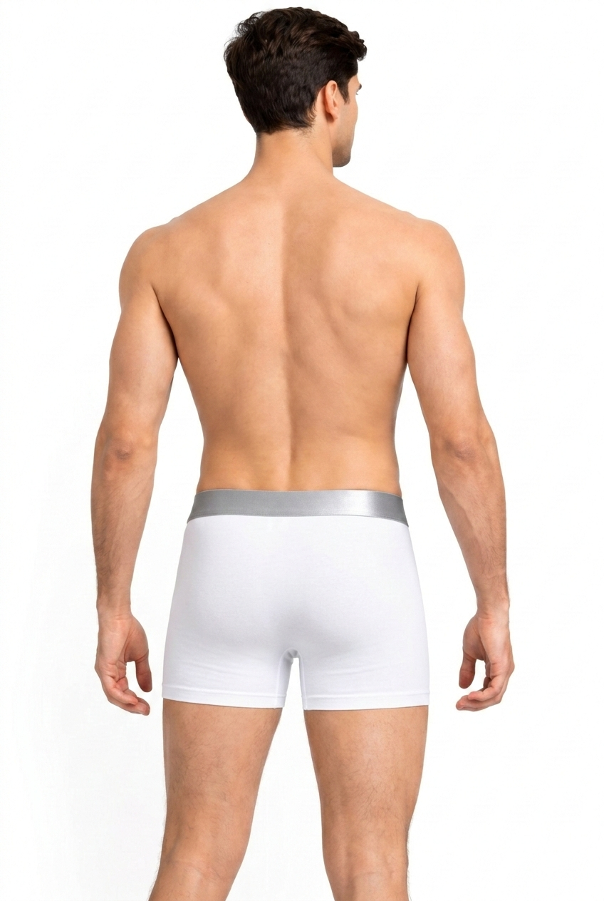 PAVVOIN Men’s Cotton Stretch Boxer Briefs/Trunk| Soft Breathable Innerwear | Anti-Roll Waistband | Body Fit Underwear for Men