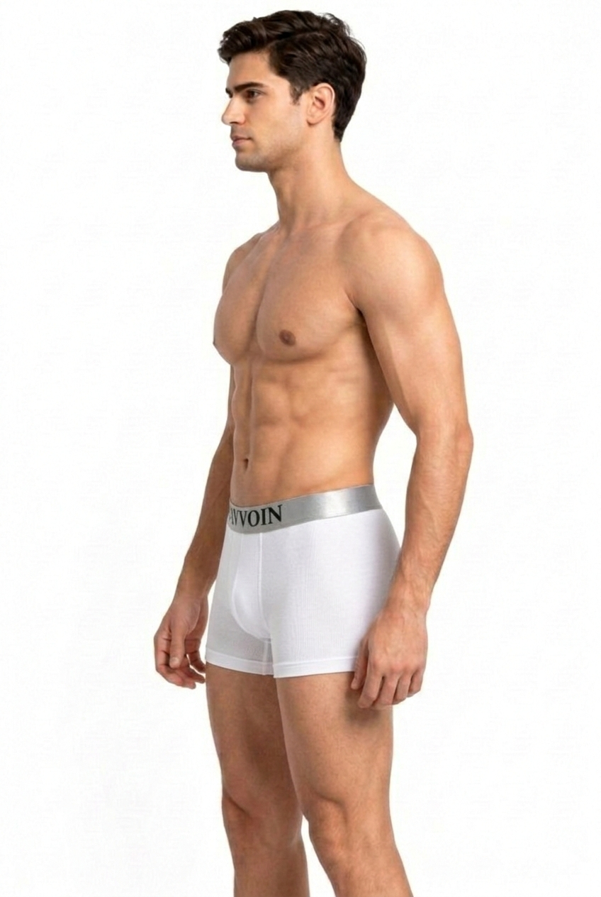 PAVVOIN Men’s Cotton Stretch Boxer Briefs/Trunk| Soft Breathable Innerwear | Anti-Roll Waistband | Body Fit Underwear for Men